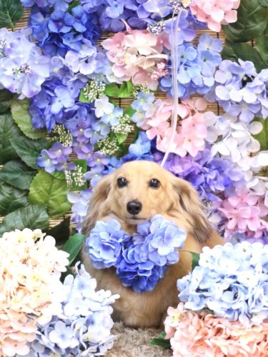 20250608モカちゃん